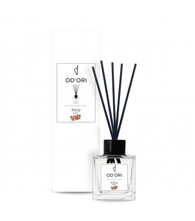 Diffuseur d'Ambiance - Ficu - 100ml