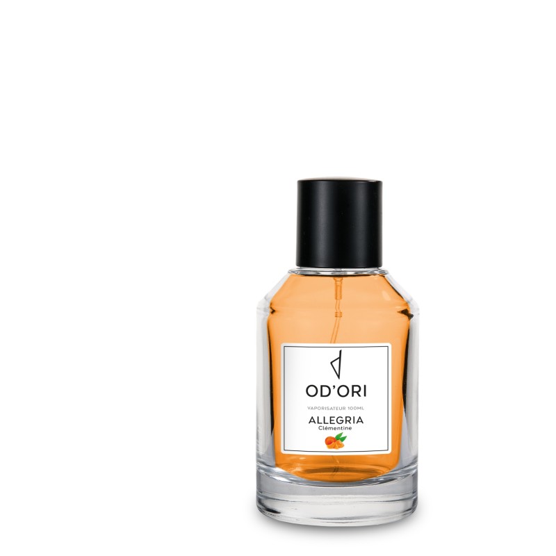 Vaporisateur d'Ambiance - Allegria - 100ml