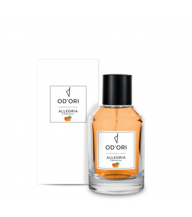 Vaporisateur d'Ambiance - Allegria - 100ml