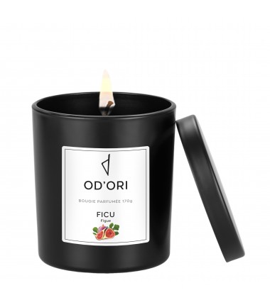 Bougie - Ficu - 170g