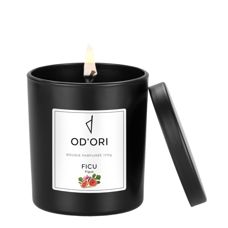 Bougie - Ficu - 170g