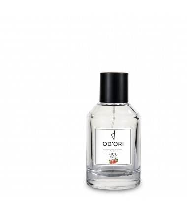 Vaporisateur d'Ambiance - Ficu - 100ml