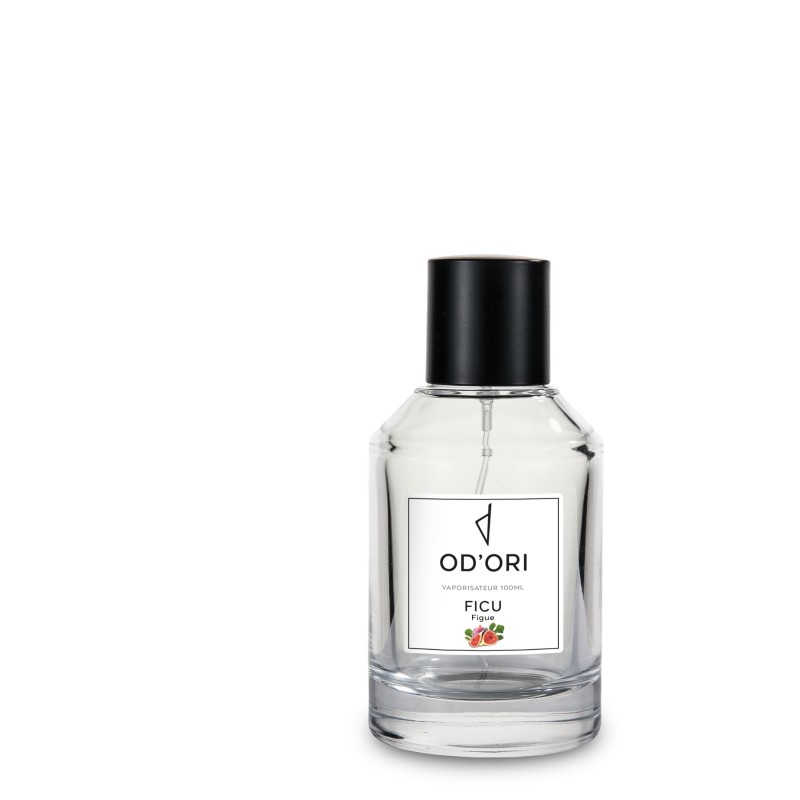 Vaporisateur d'Ambiance - Ficu - 100ml