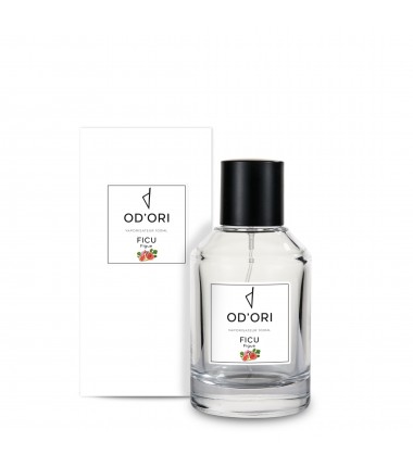 Vaporisateur d'Ambiance - Ficu - 100ml