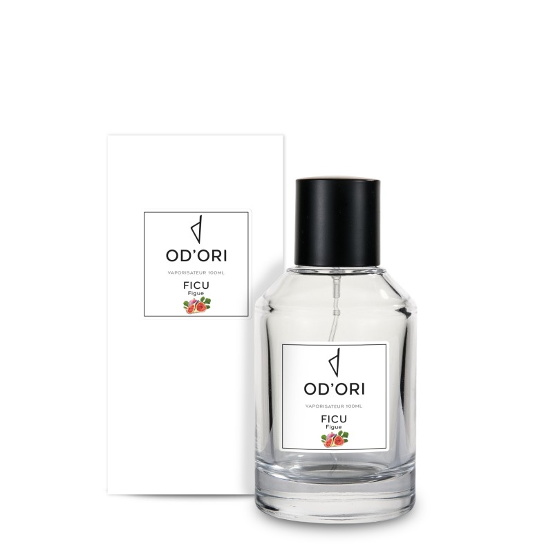 Vaporisateur d'Ambiance - Ficu - 100ml